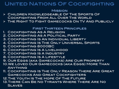 UNITED NATIONS OF COCKFIGHTING FIRST THIRTEEN PRINCIPLES OF COCKFIGHTING FROM ALL OVER THE WORLD